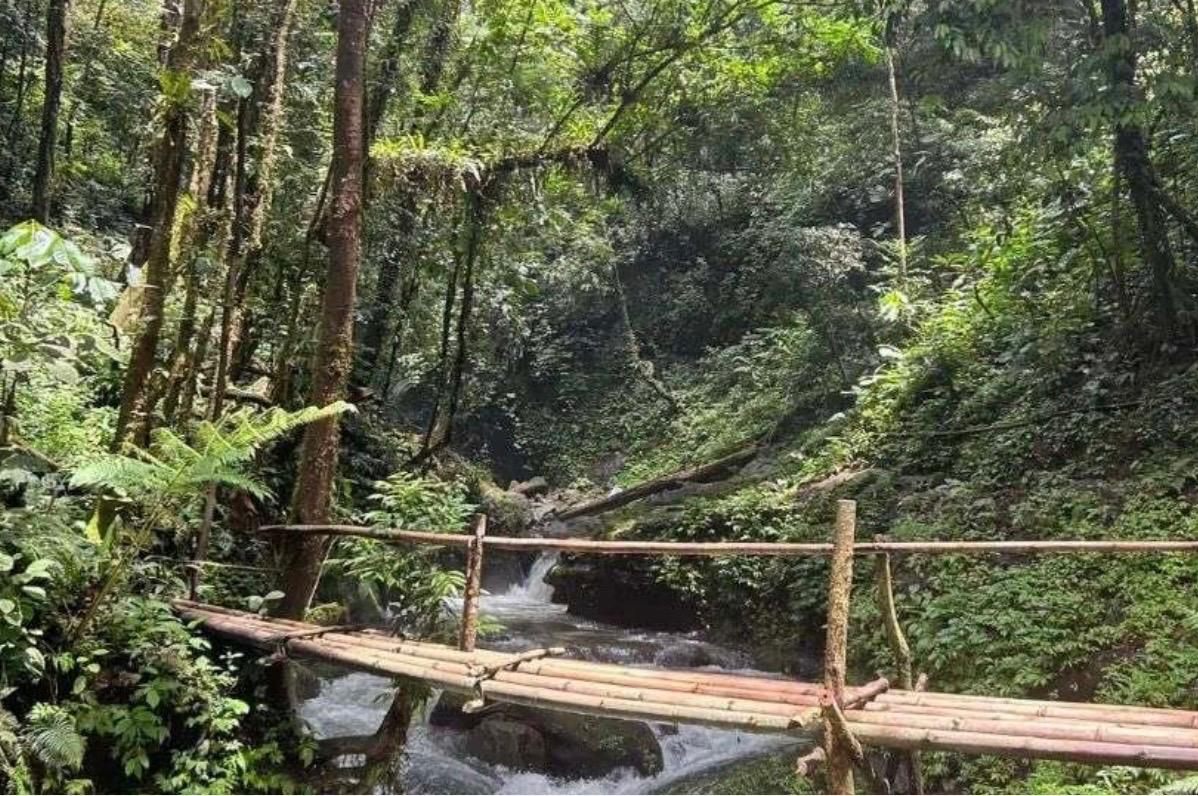 WhatsApp Image 2026-01-06 at 08.22.43