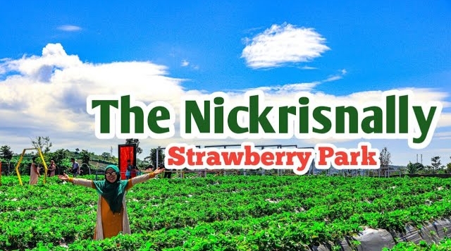 WhatsApp Image 2026-01-06 at 08.45.39