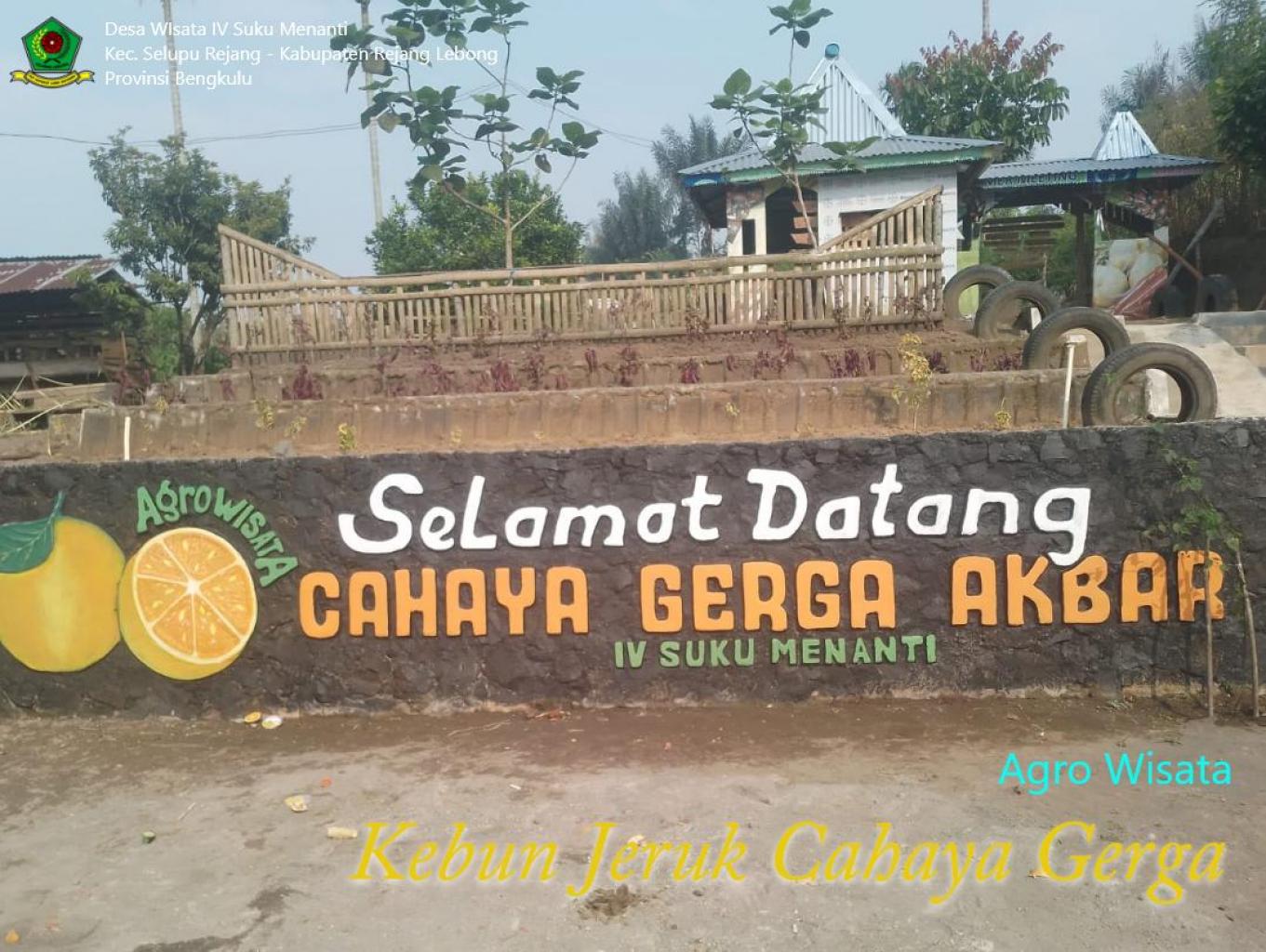 WhatsApp Image 2026-01-06 at 11.50.25