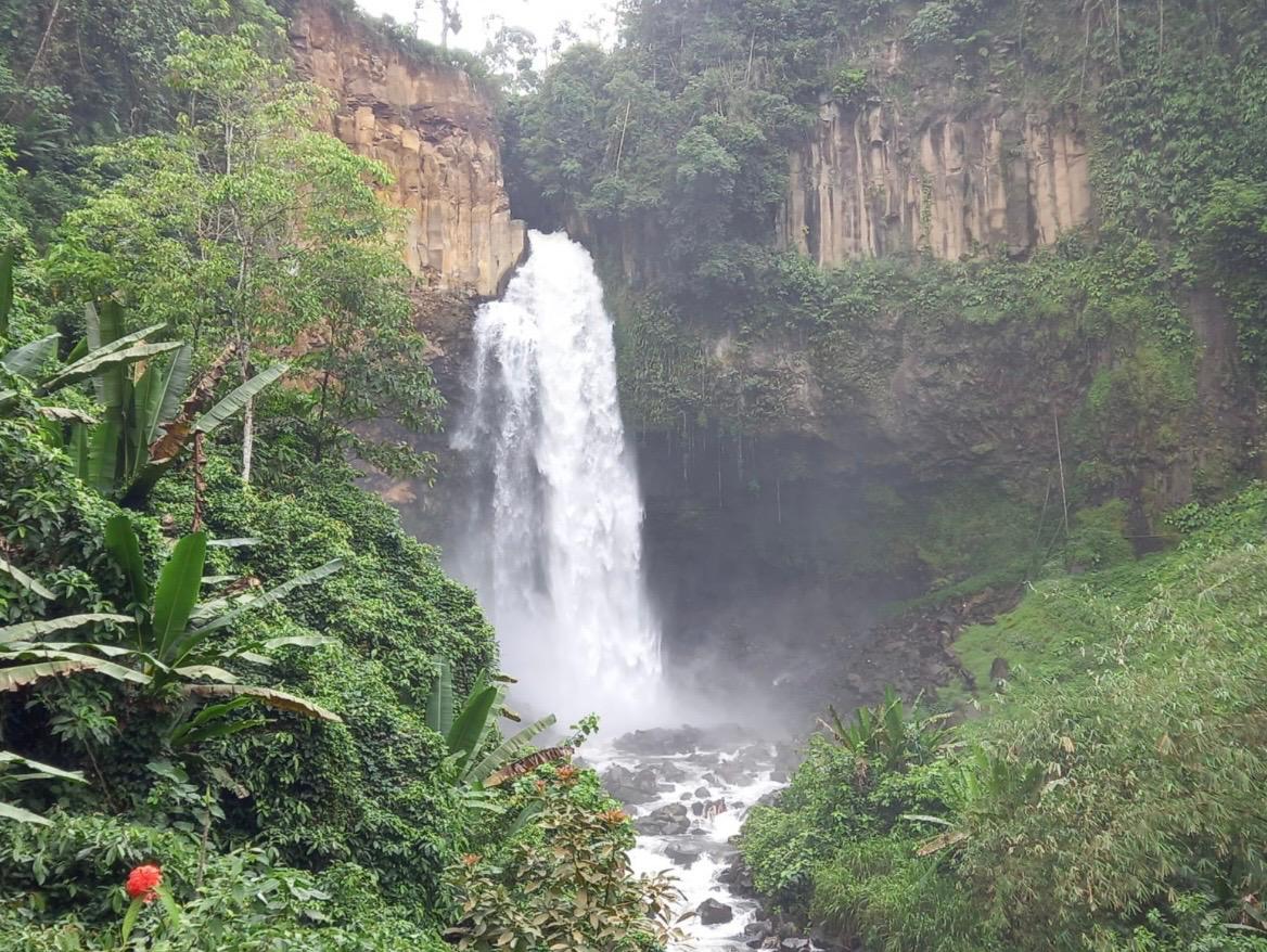 WhatsApp Image 2026-01-06 at 14.59.12