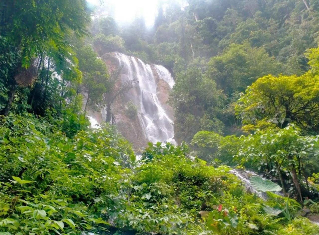 WhatsApp Image 2026-01-07 at 08.07.44 (1)