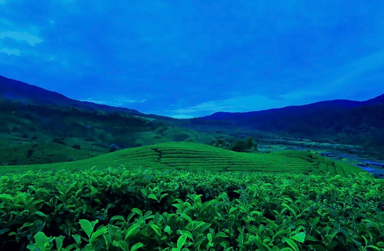 WhatsApp Image 2026-01-07 at 08.48.20