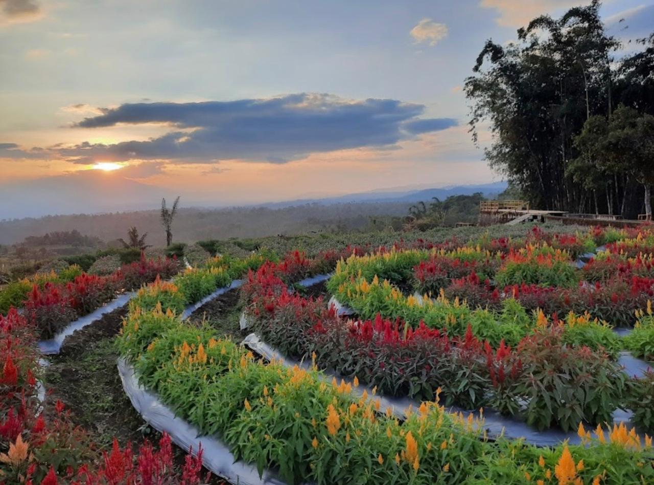 WhatsApp Image 2026-01-07 at 08.54.21