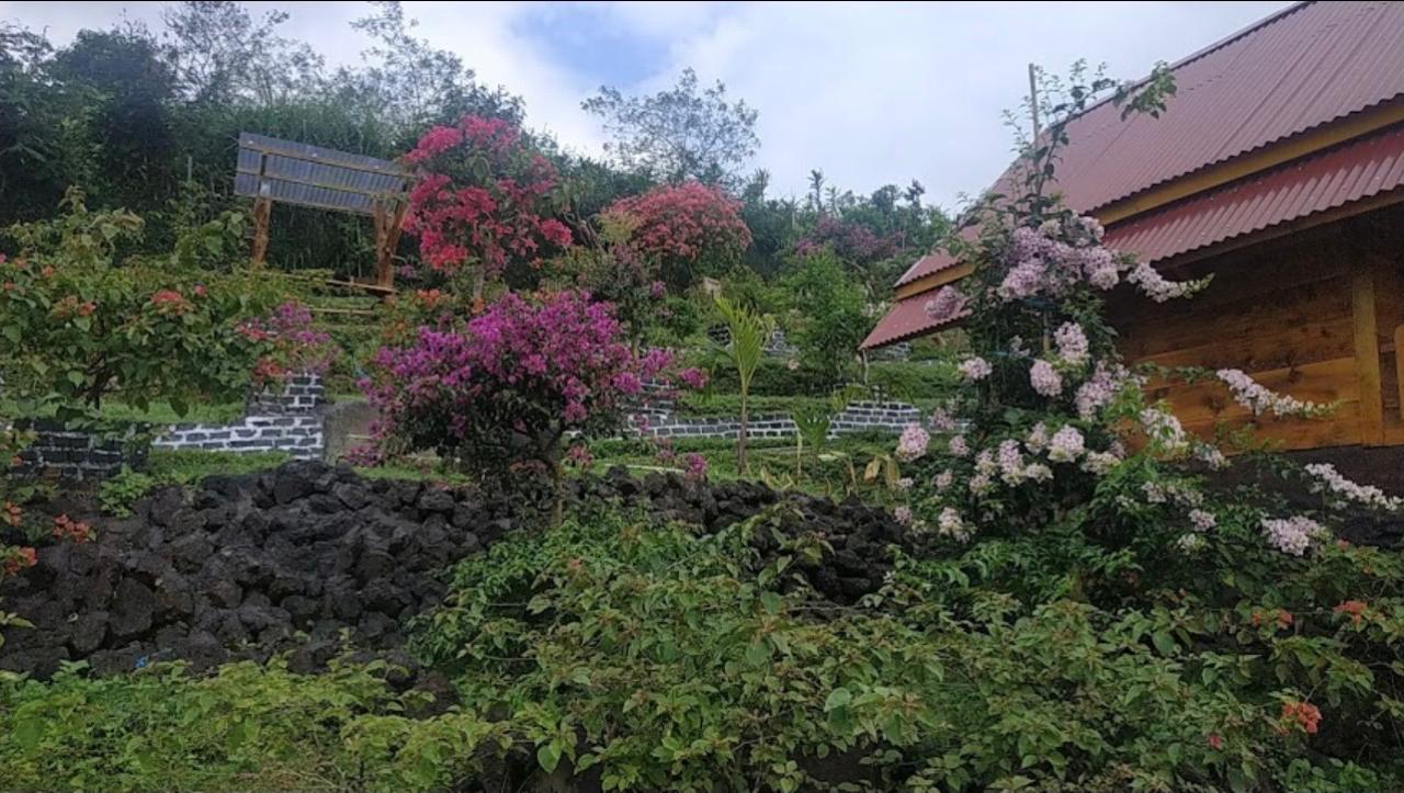 WhatsApp Image 2026-01-07 at 09.11.06