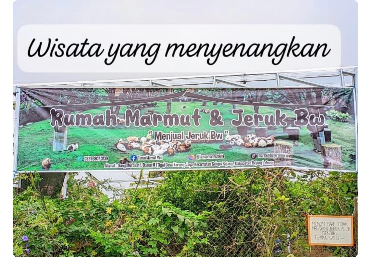 WhatsApp Image 2026-01-07 at 09.18.03