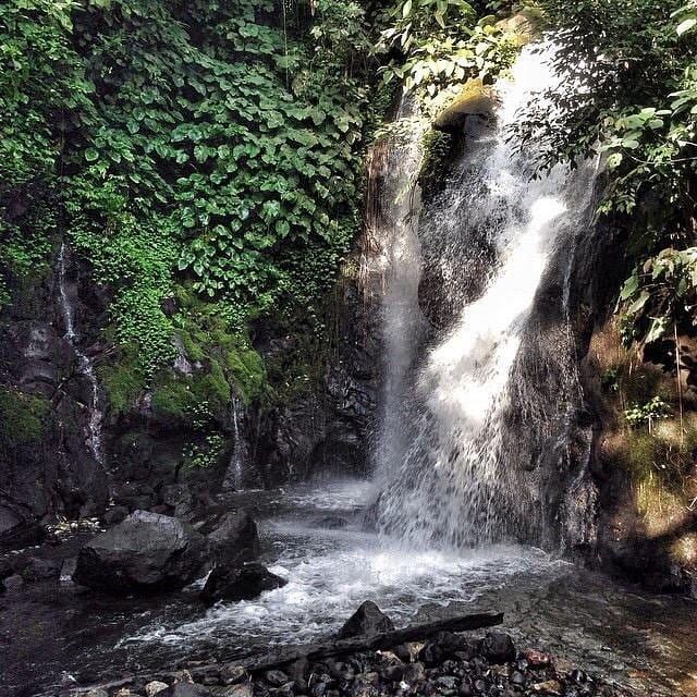 WhatsApp Image 2026-01-08 at 08.03.02 (1)