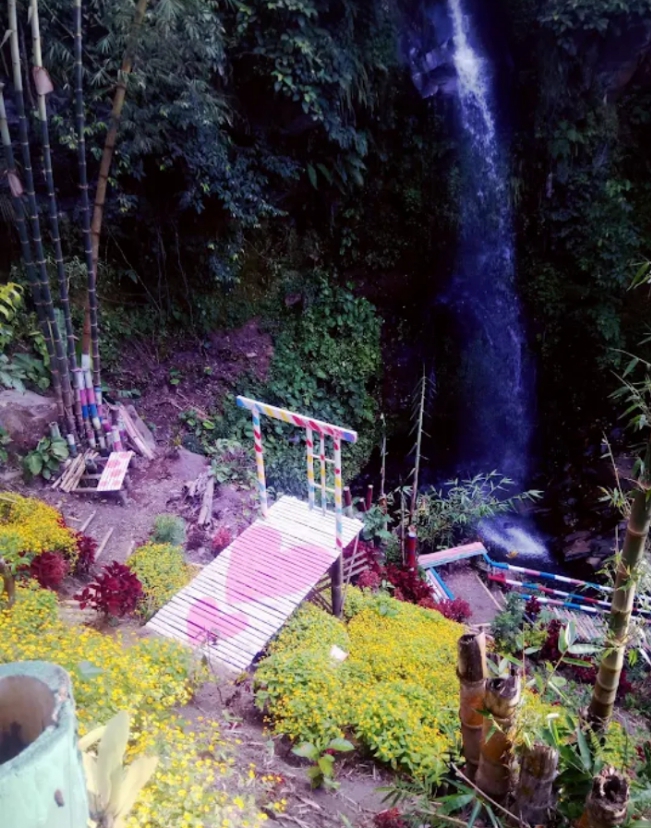 WhatsApp Image 2026-01-08 at 08.26.13 (1)