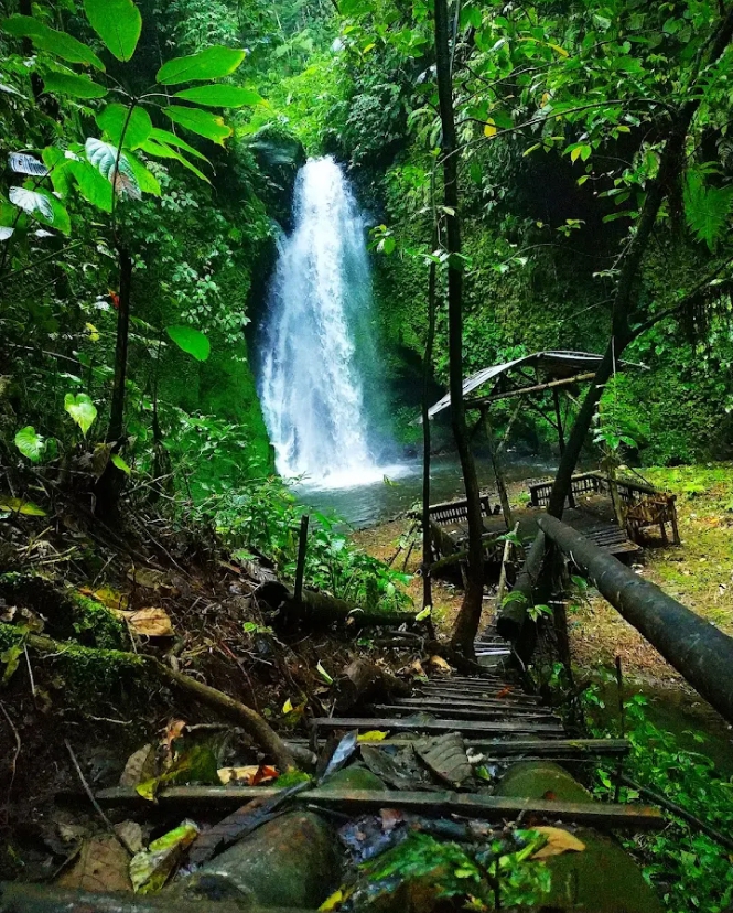 WhatsApp Image 2026-01-08 at 10.00.53