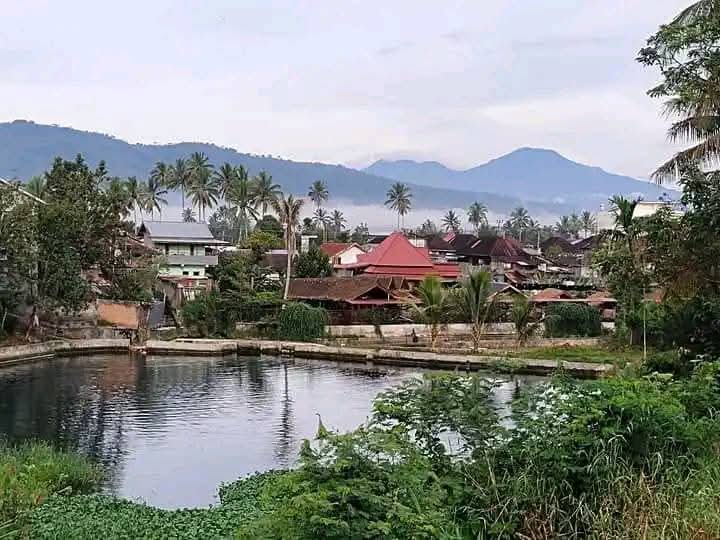 WhatsApp Image 2026-01-12 at 09.56.11