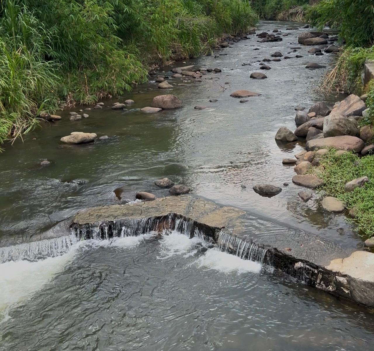 WhatsApp Image 2026-01-14 at 08.46.53