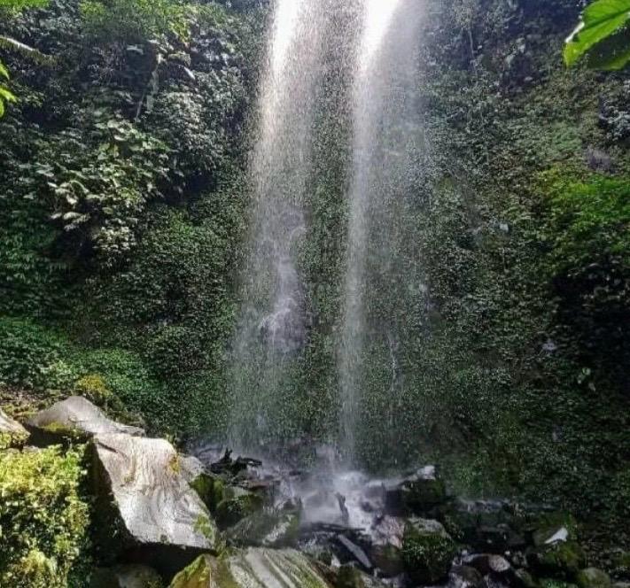 WhatsApp Image 2026-01-21 at 08.12.22